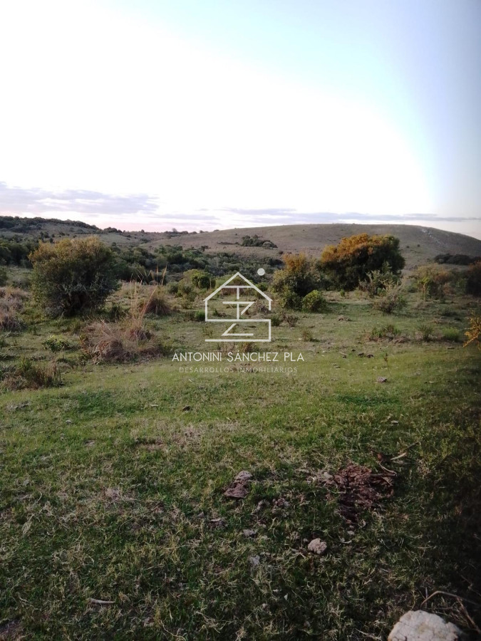 Campo Ref.4385 - Campo Cerro Aspero Rocha