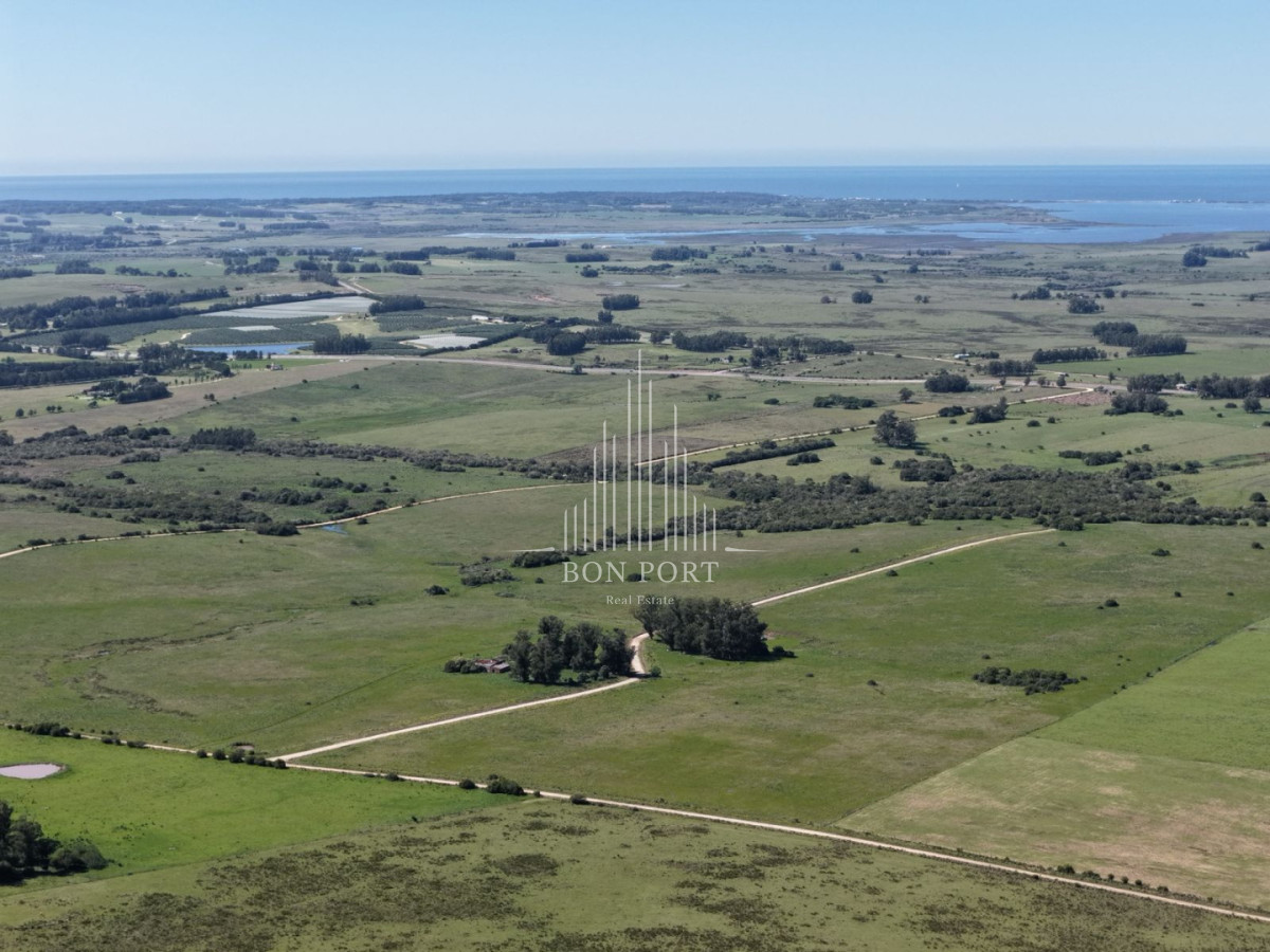 Chacra ID.174 - Chacras de 3 hectareas Ama Jose Ignacio , desde 85,000 dolares 