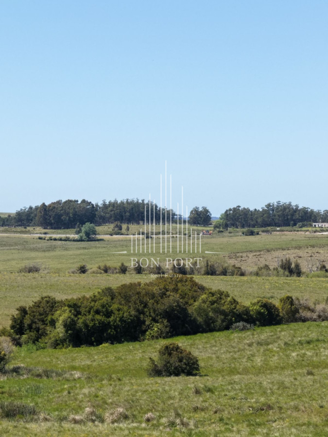Chacra ID.174 - Chacras de 3 hectareas Ama Jose Ignacio , desde 85,000 dolares 