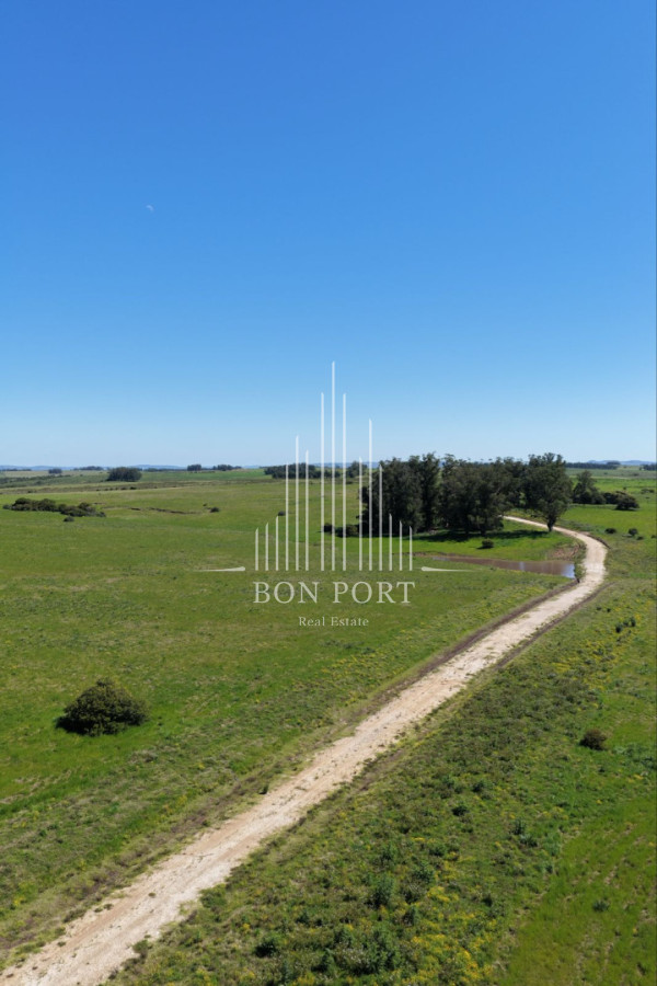 Chacra ID.174 - Chacras de 3 hectareas Ama Jose Ignacio , desde 85,000 dolares 