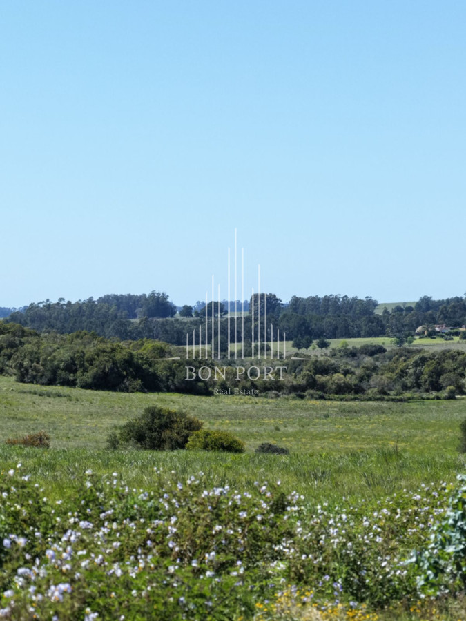 Chacra ID.174 - Chacras de 3 hectareas Ama Jose Ignacio , desde 85,000 dolares 