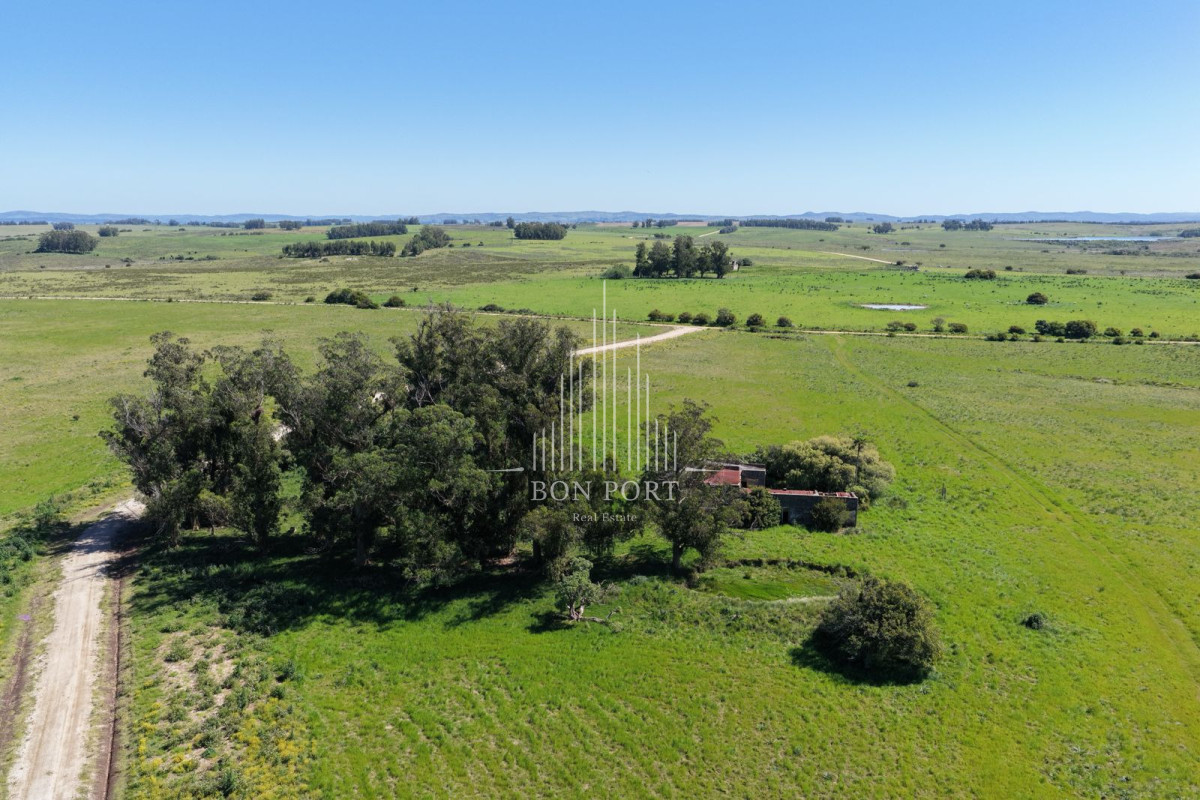 Chacra ID.174 - Chacras de 3 hectareas Ama Jose Ignacio , desde 85,000 dolares 