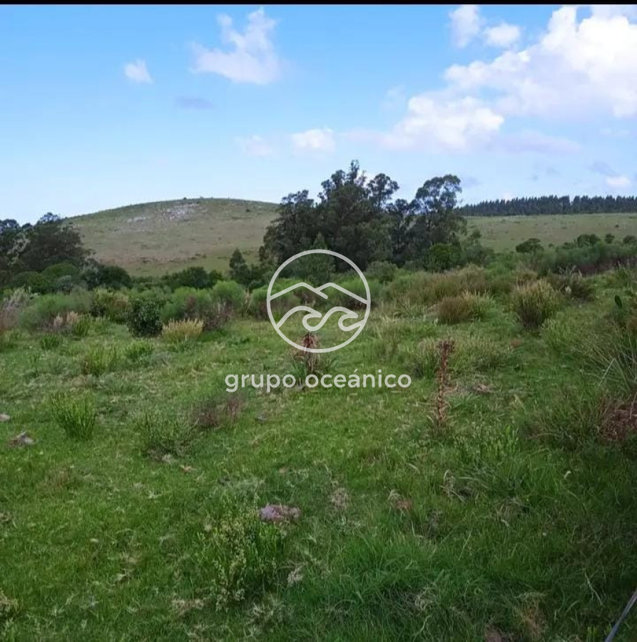 Campo Ref.15 - Campo 32 hectareas en septima seccion de Garzon 