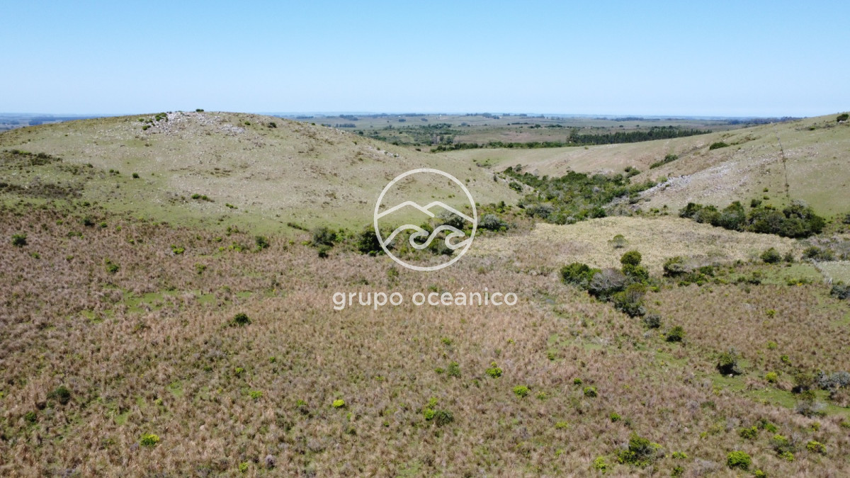 Campo Ref.15 - Campo 32 hectareas en septima seccion de Garzon 