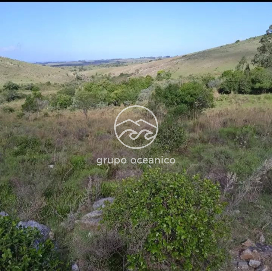 Campo Ref.15 - Campo 32 hectareas en septima seccion de Garzon 