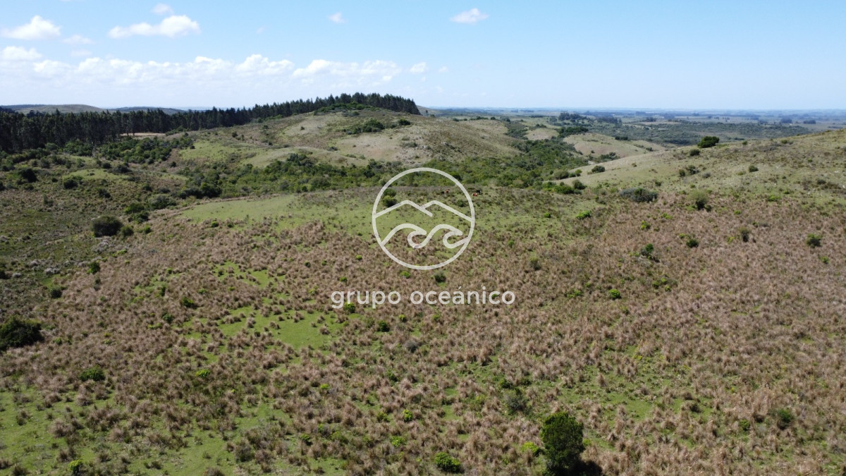 Campo Ref.15 - Campo 32 hectareas en septima seccion de Garzon 