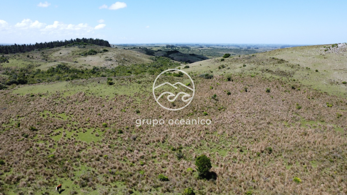 Campo Ref.15 - Campo 32 hectareas en septima seccion de Garzon 