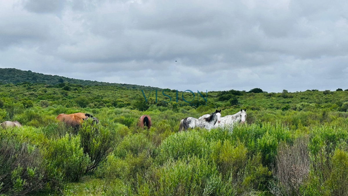 Chacra ID.58 - Chacras de Anima - FINANCIACION BANCARIA -3 hectareas en Sierra de las Animas con vista al mar