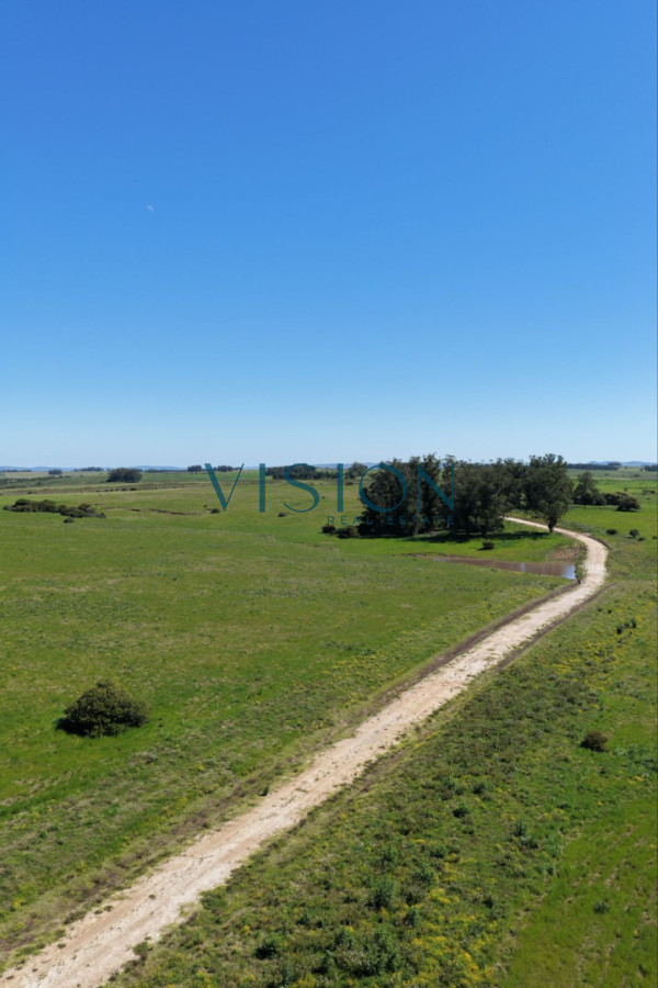 Chacra ID.24 - Chacras de 3 hectáreas Ama José Ignacio , desde U$S 55.000 ****Financiadas