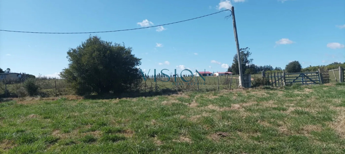 Chacra ID.63 - Chacra en Ruta 39
