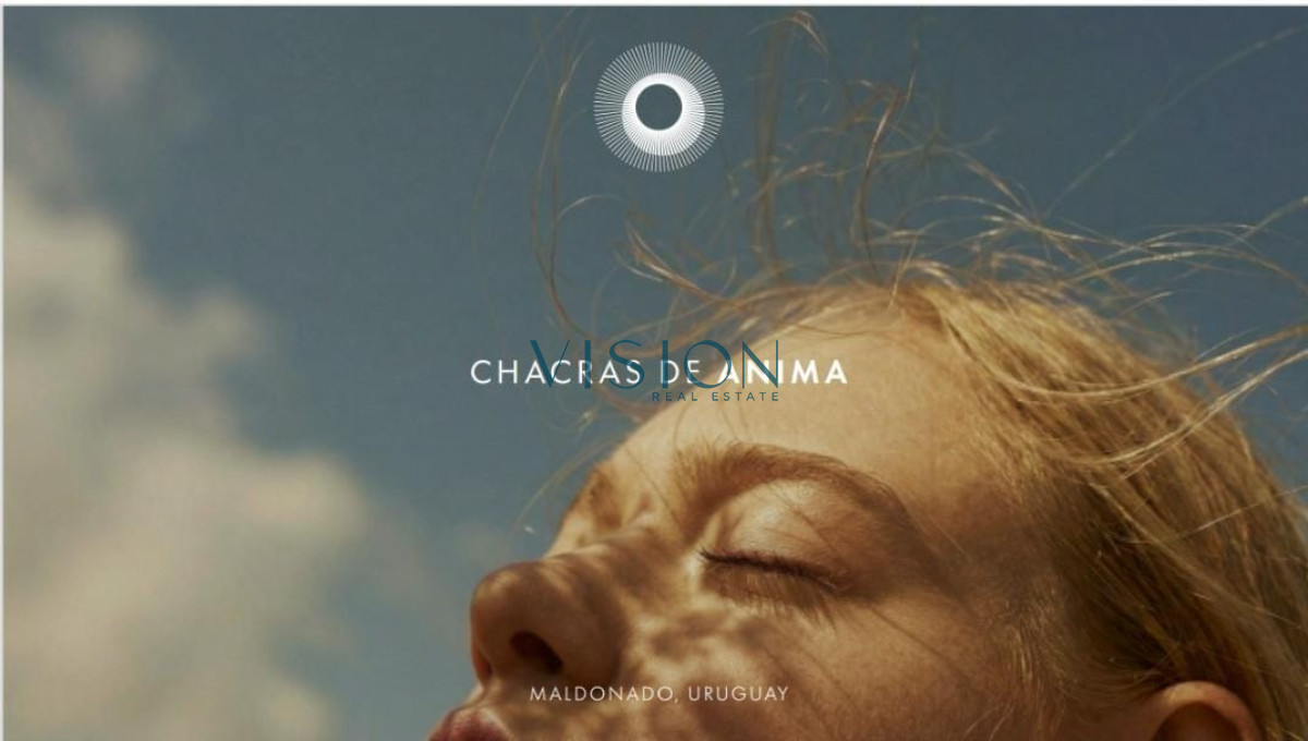 Chacra ID.58 - Chacras de Anima - FINANCIACION BANCARIA -3 hectareas en Sierra de las Animas con vista al mar