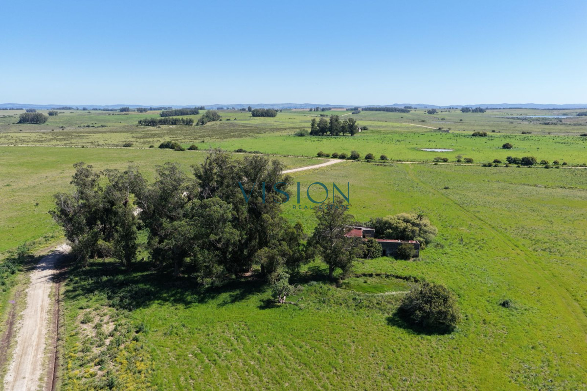 Chacra ID.24 - Chacras de 3 hectáreas Ama José Ignacio , desde U$S 55.000 ****Financiadas