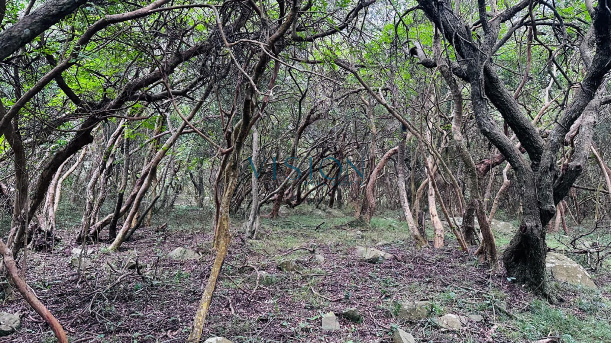 Chacra ID.58 - Chacras de Anima - FINANCIACION BANCARIA -3 hectareas en Sierra de las Animas con vista al mar