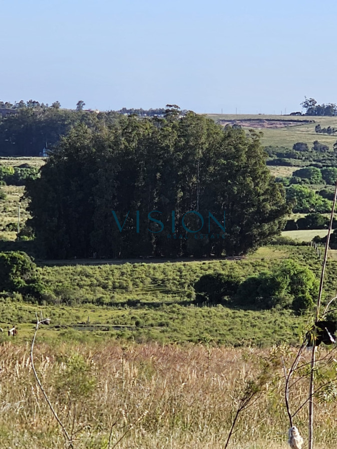 Chacra ID.30 - Chacra en Pan de Azúcar 