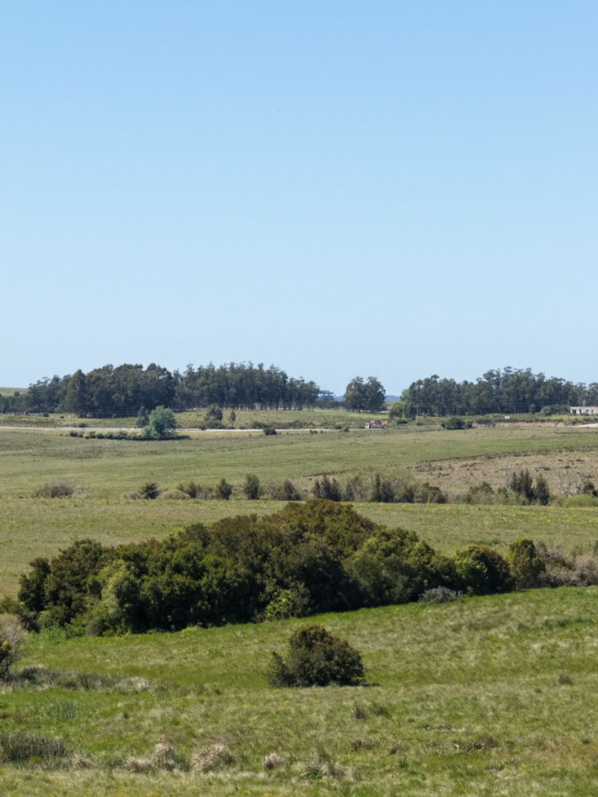 Chacras de 3 hectareas Ama Jose Ignacio , desde 85,000 dolares 