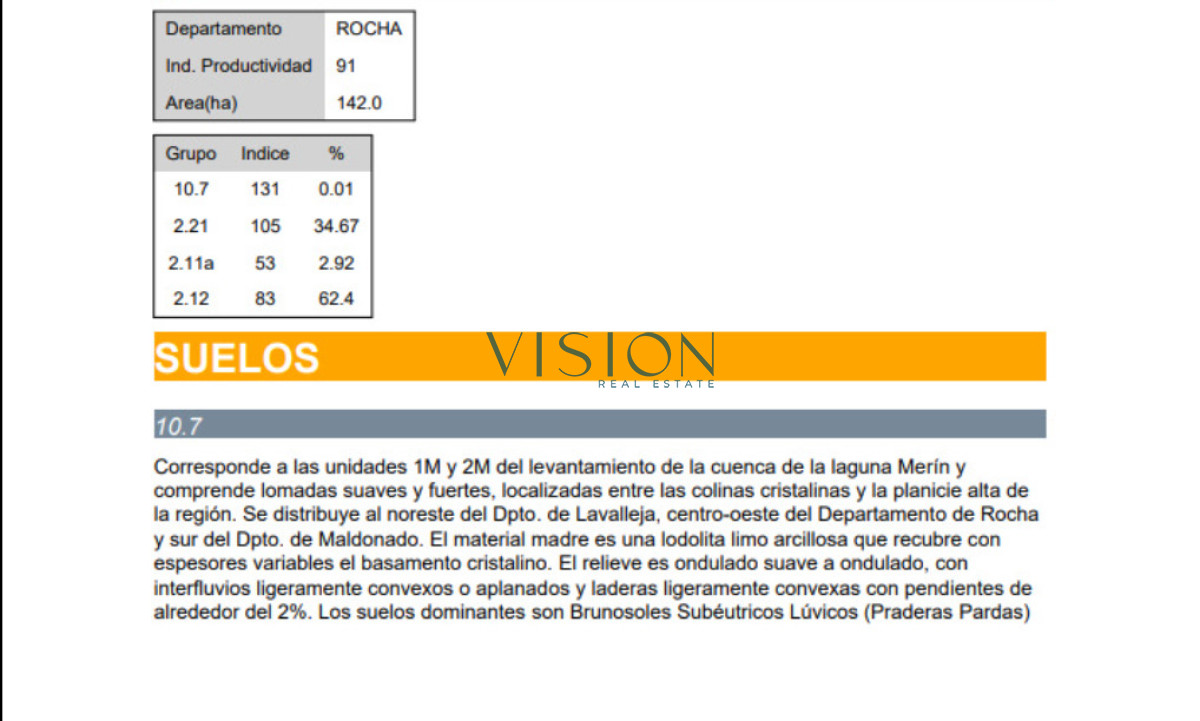Campo Ref.45 - India Muerta