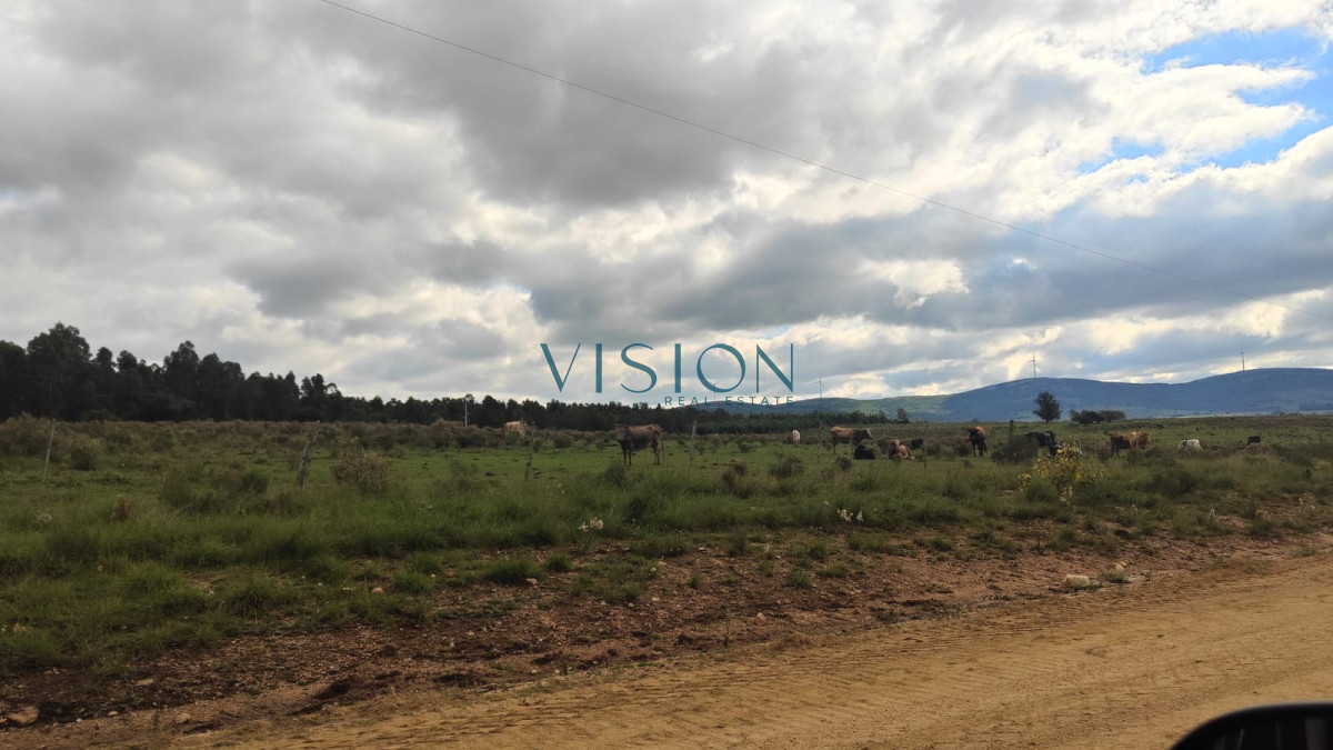 Campo Ref.70 - Fracción de Campo