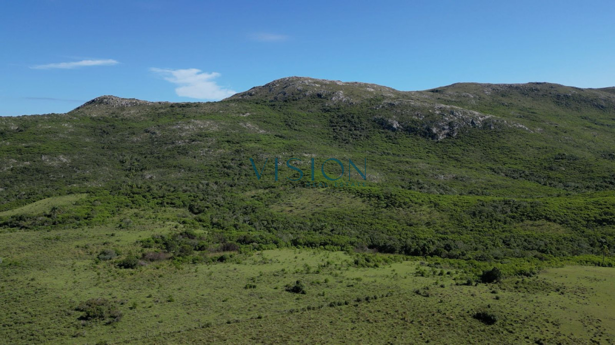 Campo Ref.76 - Sierras de Los Rocha
