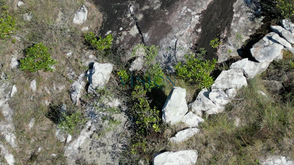Campo Ref.76 - Sierras de Los Rocha
