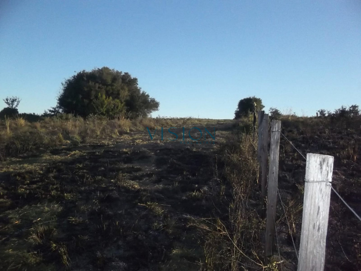 Campo Ref.46 - Excelente campo en sierras de Rocha