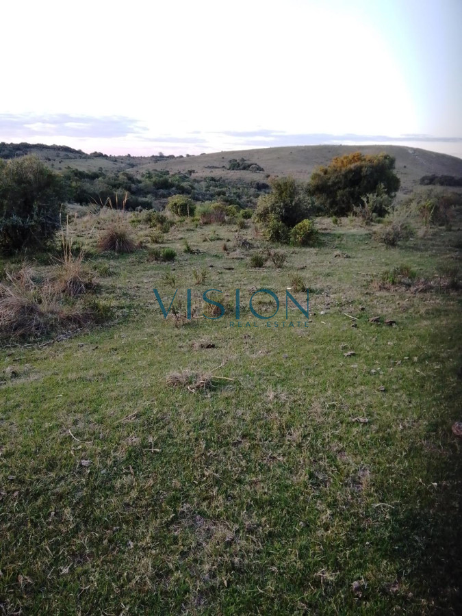 Campo Ref.14 - Campo Cerro Aspero Rocha