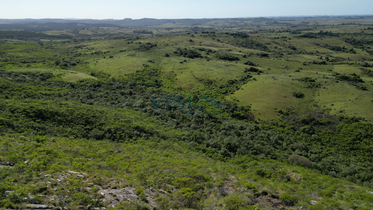 Campo Ref.76 - Sierras de Los Rocha