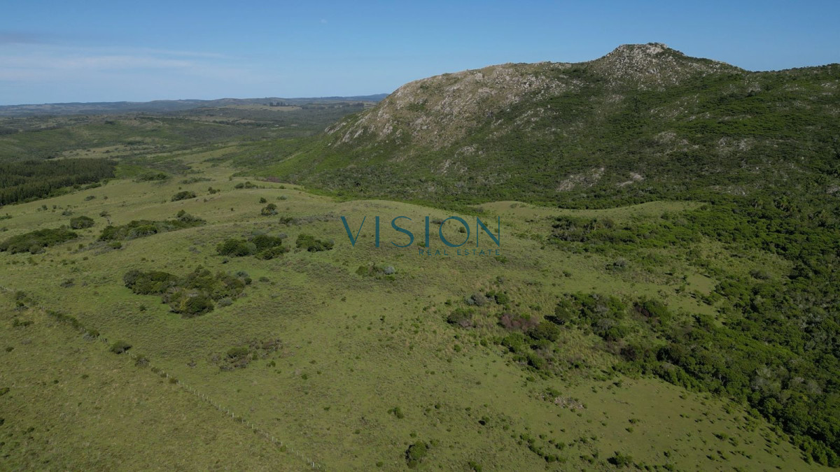 Campo Ref.76 - Sierras de Los Rocha