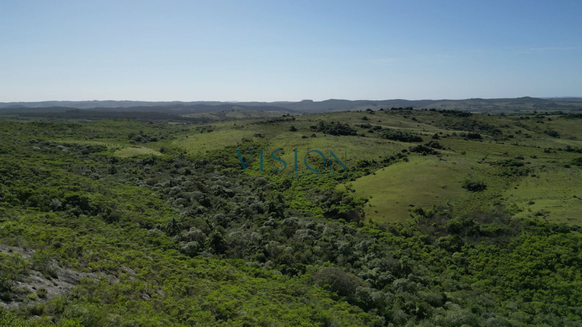 Campo Ref.76 - Sierras de Los Rocha
