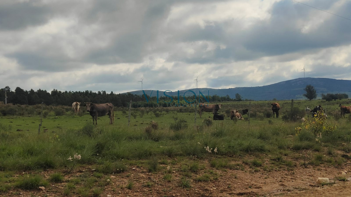 Campo Ref.70 - Fracción de Campo