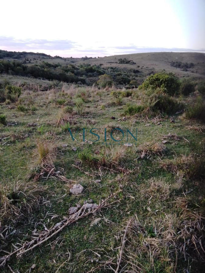 Campo Ref.14 - Campo Cerro Aspero Rocha