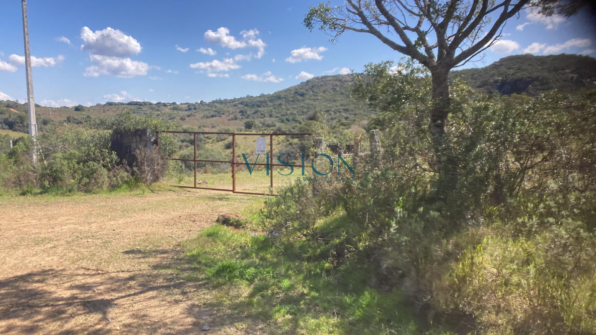 Campo Ref.14 - Campo Cerro Aspero Rocha