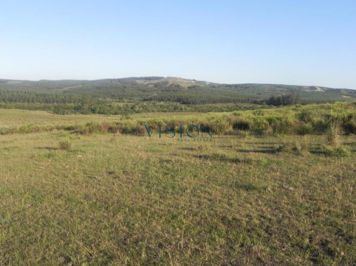 Campo Ref.39 - Oportunidad Sierras de Rocha