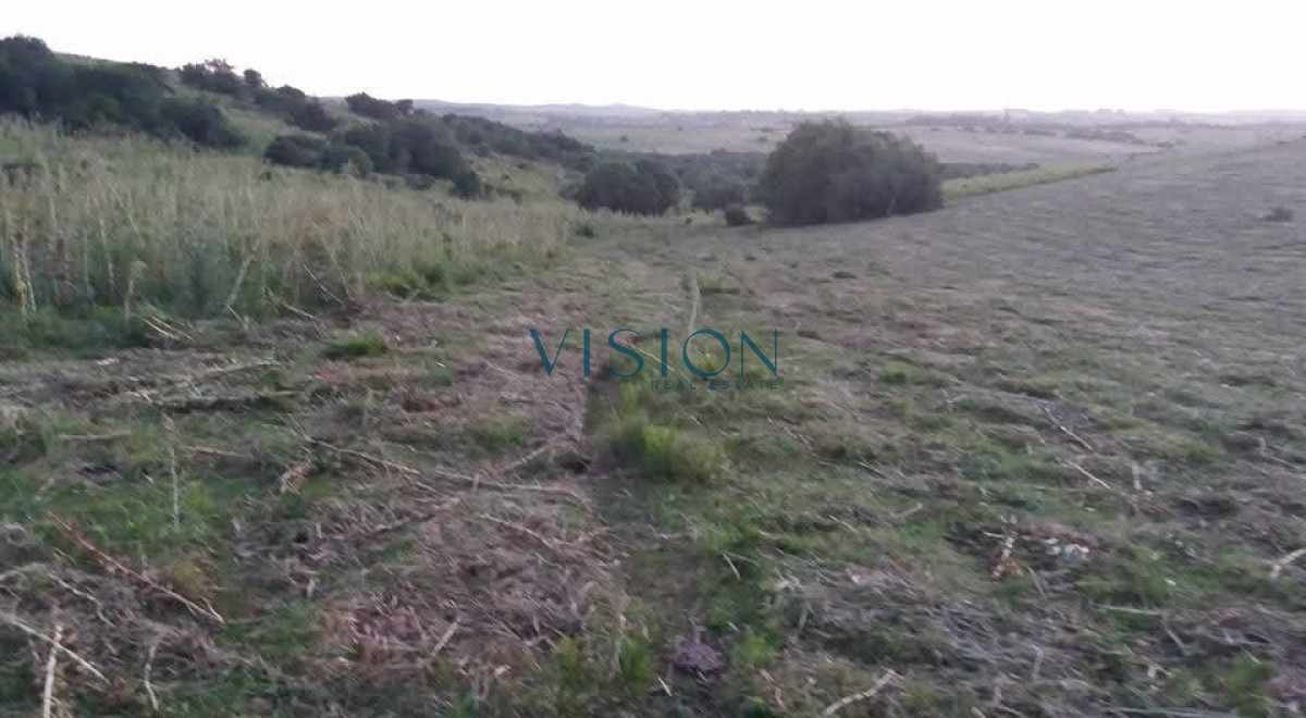 Campo Ref.46 - Excelente campo en sierras de Rocha