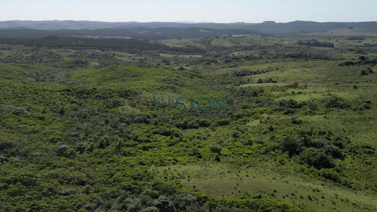 Campo Ref.76 - Sierras de Los Rocha