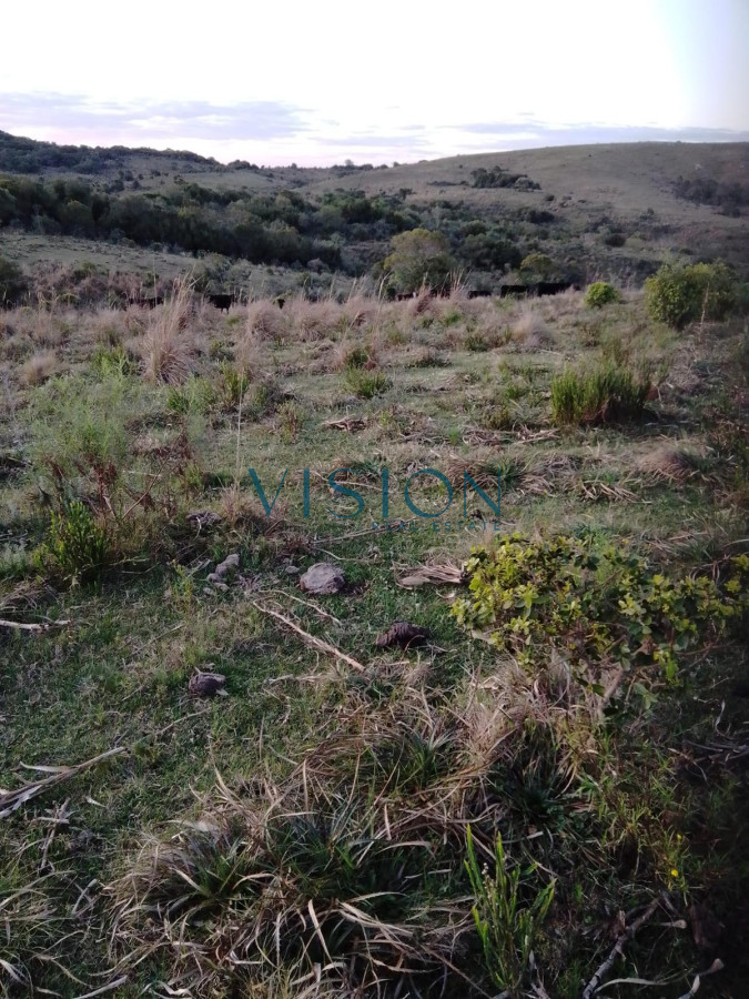 Campo Ref.14 - Campo Cerro Aspero Rocha