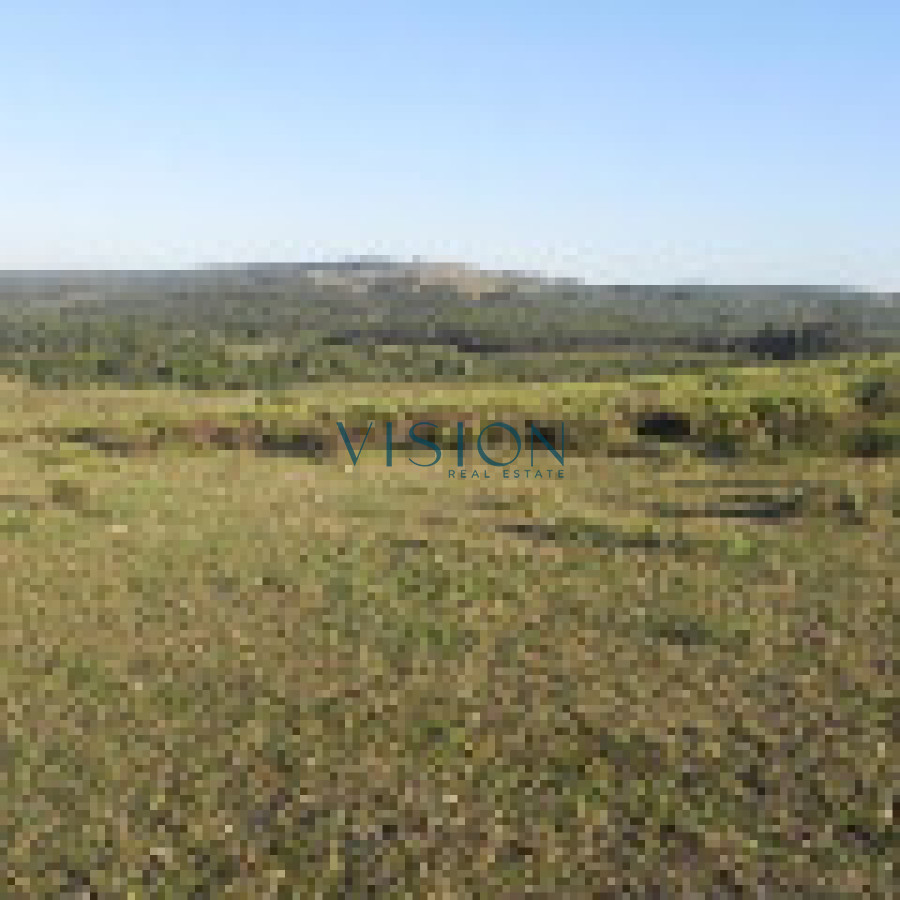 Campo Ref.39 - Oportunidad Sierras de Rocha