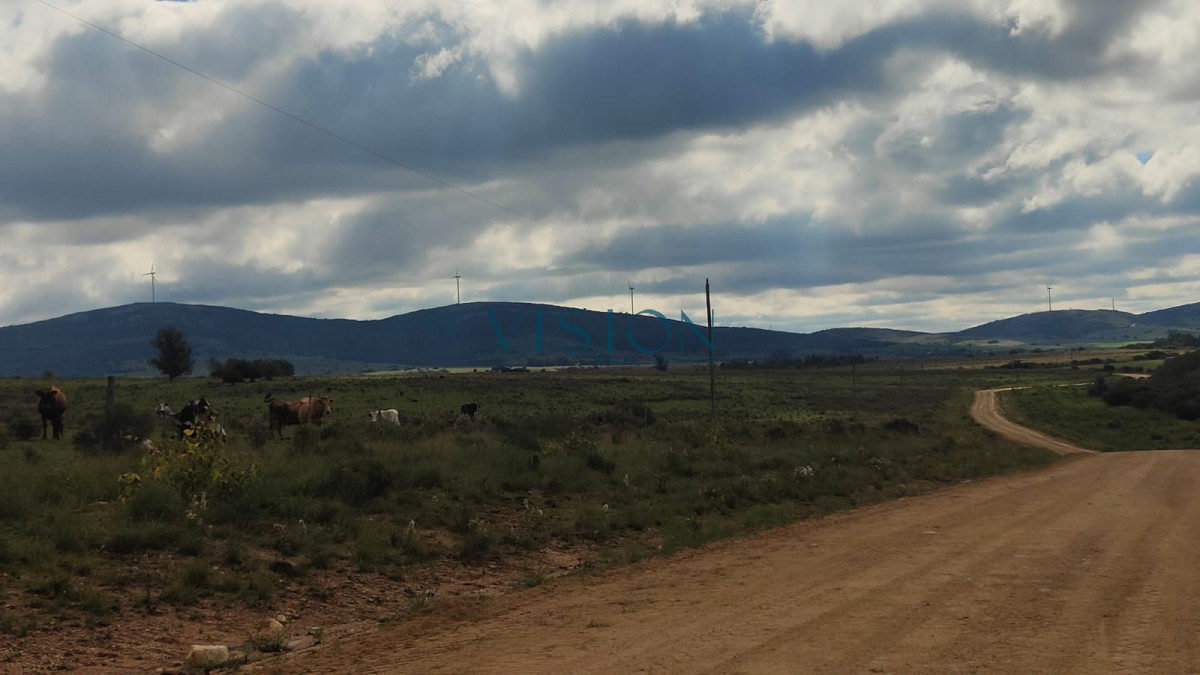 Campo Ref.70 - Fracción de Campo