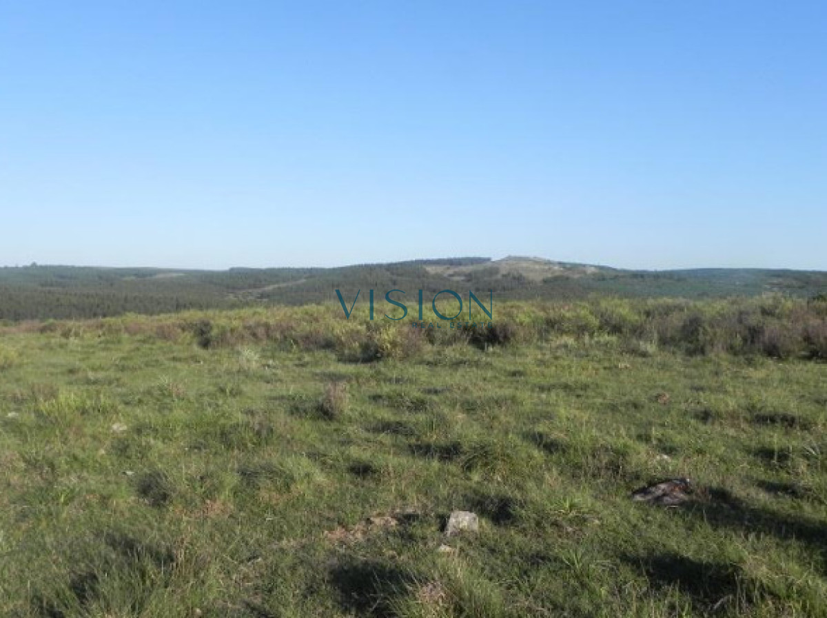 Campo Ref.39 - Oportunidad Sierras de Rocha