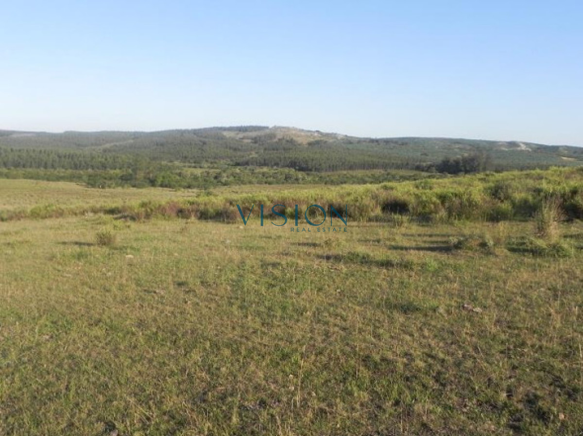 Campo Ref.39 - Oportunidad Sierras de Rocha
