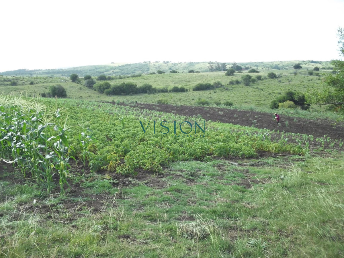 Campo Ref.46 - Excelente campo en sierras de Rocha