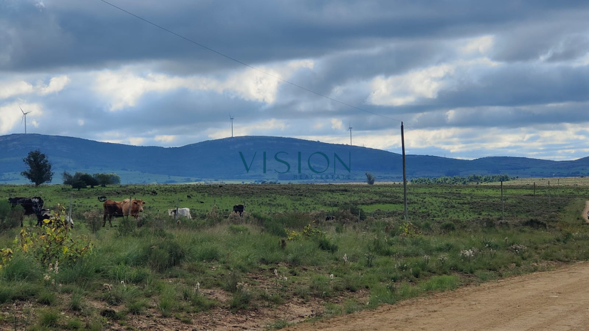 Campo Ref.70 - Fracción de Campo