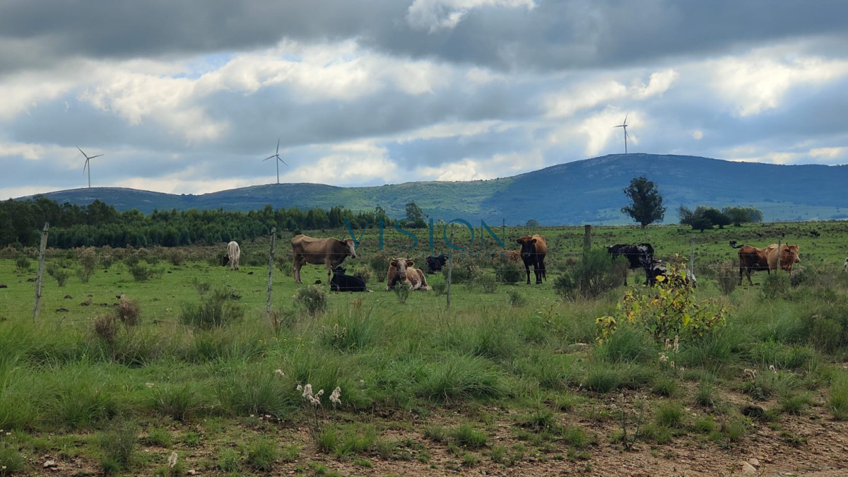 Campo Ref.70 - Fracción de Campo