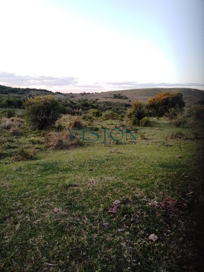 Campo Ref.14 - Campo Cerro Aspero Rocha