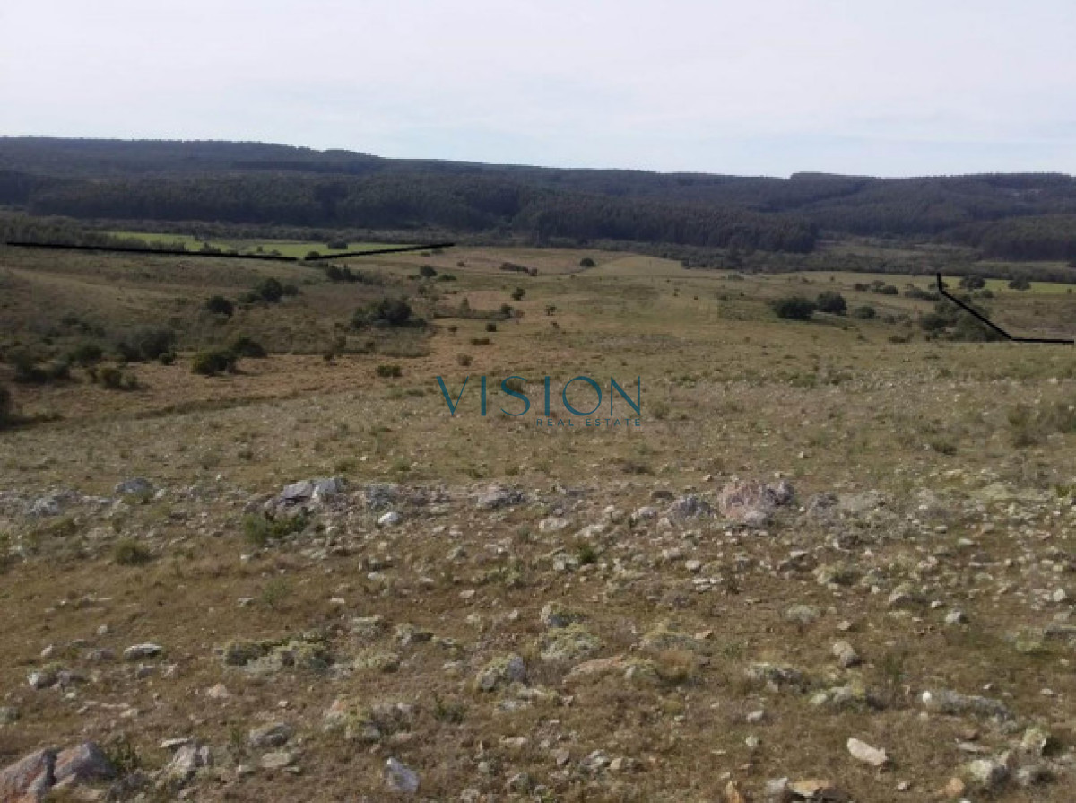Campo Ref.39 - Oportunidad Sierras de Rocha