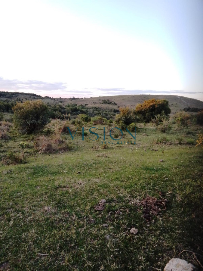 Campo Ref.14 - Campo Cerro Aspero Rocha