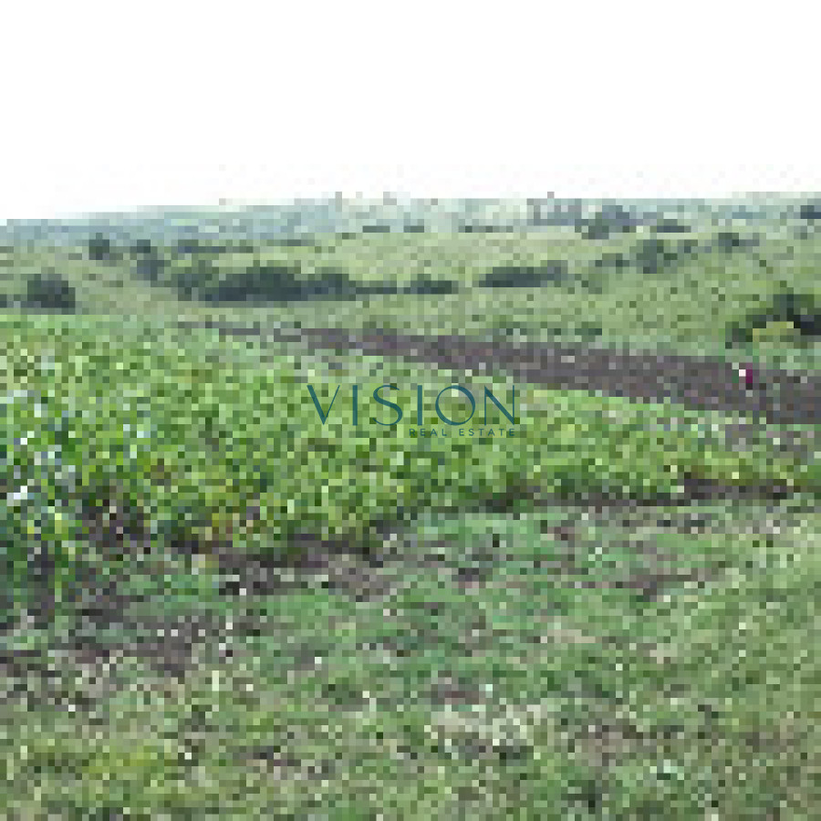 Campo Ref.46 - Excelente campo en sierras de Rocha