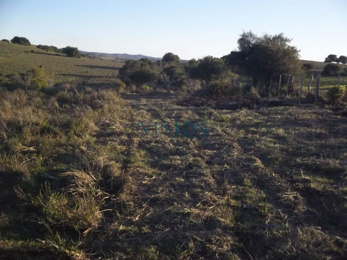 Campo Ref.46 - Excelente campo en sierras de Rocha
