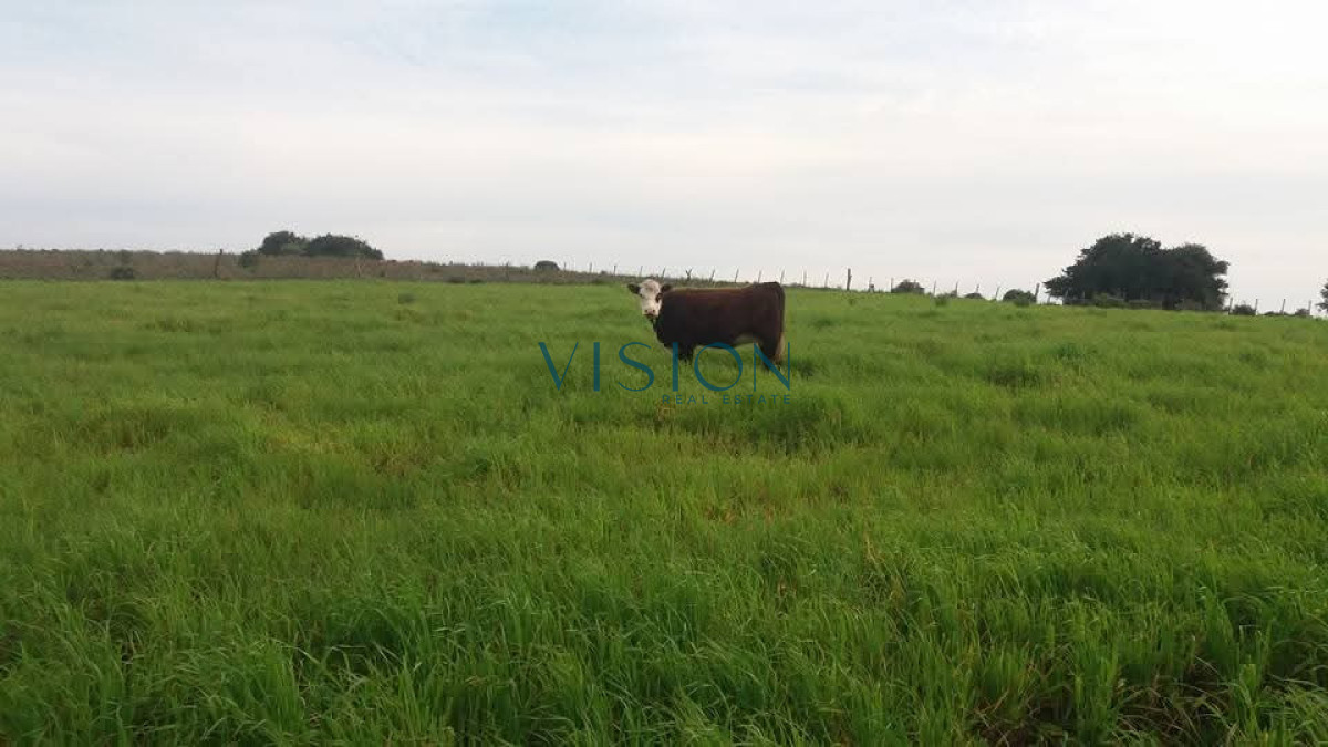 Campo Ref.46 - Excelente campo en sierras de Rocha