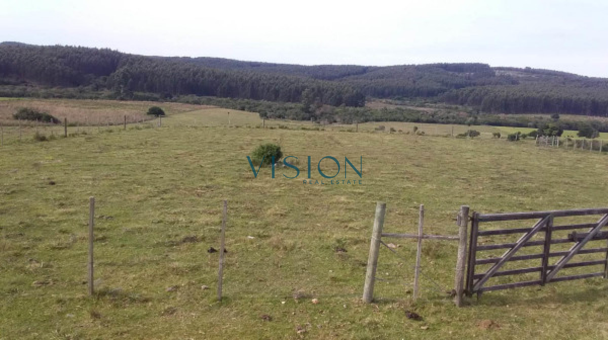 Campo Ref.39 - Oportunidad Sierras de Rocha