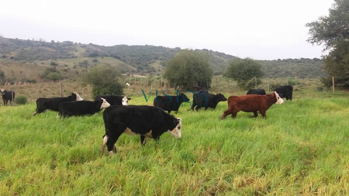 Campo Ref.46 - Excelente campo en sierras de Rocha